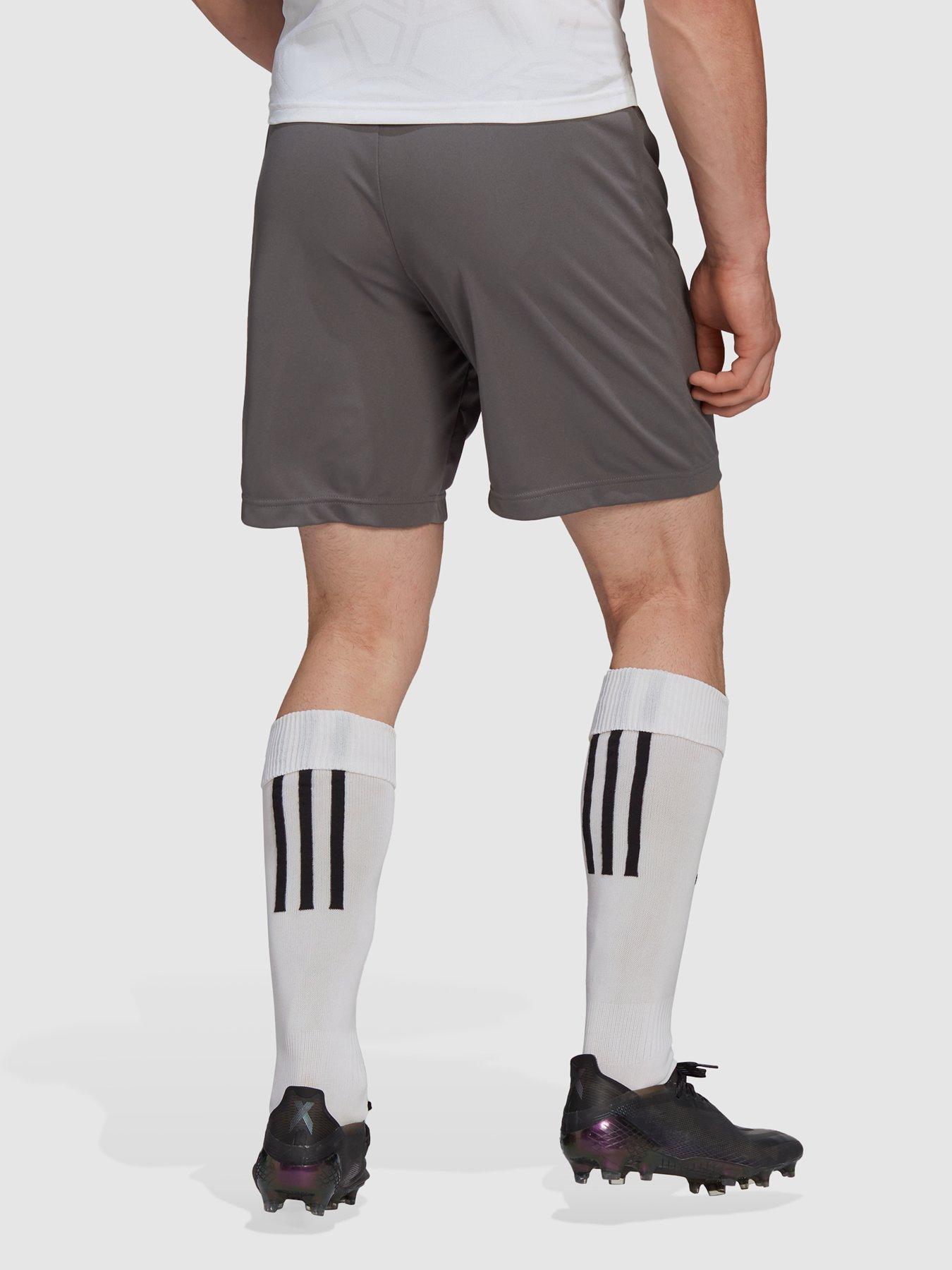 Image 2 of 4 of adidas Mens Entrada 22 Training Short - Grey