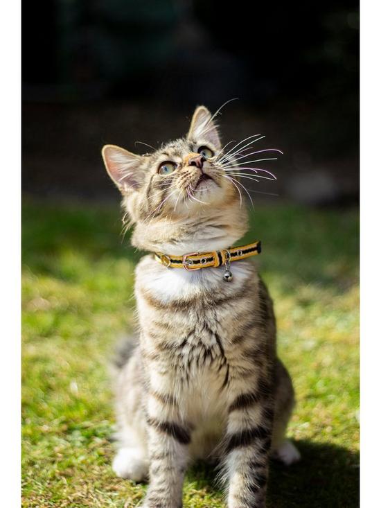 stillFront image of joules-coastal-cat-collar-twin-pack