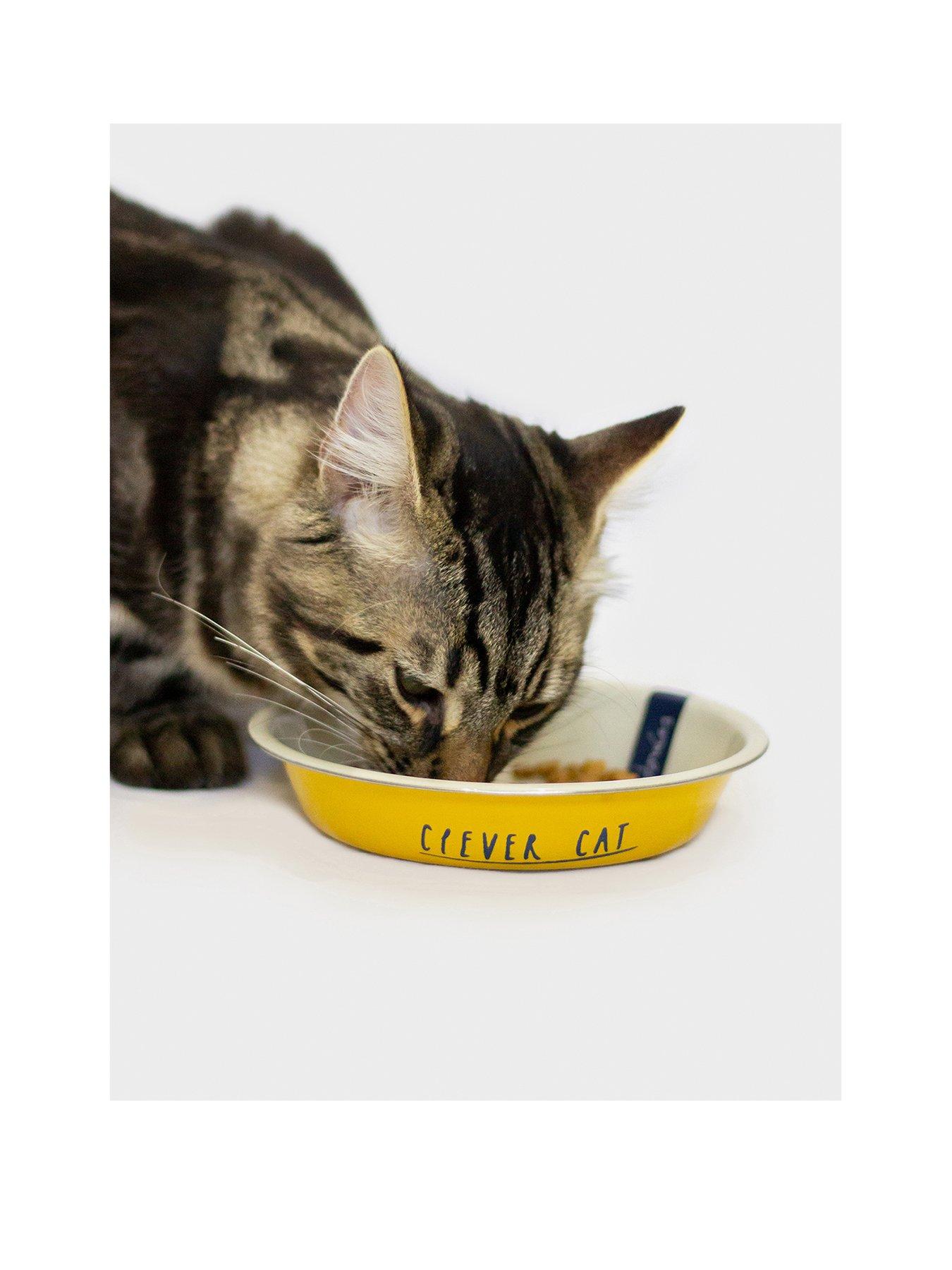 Chow Meow: Modern Elevated Cat Feeder