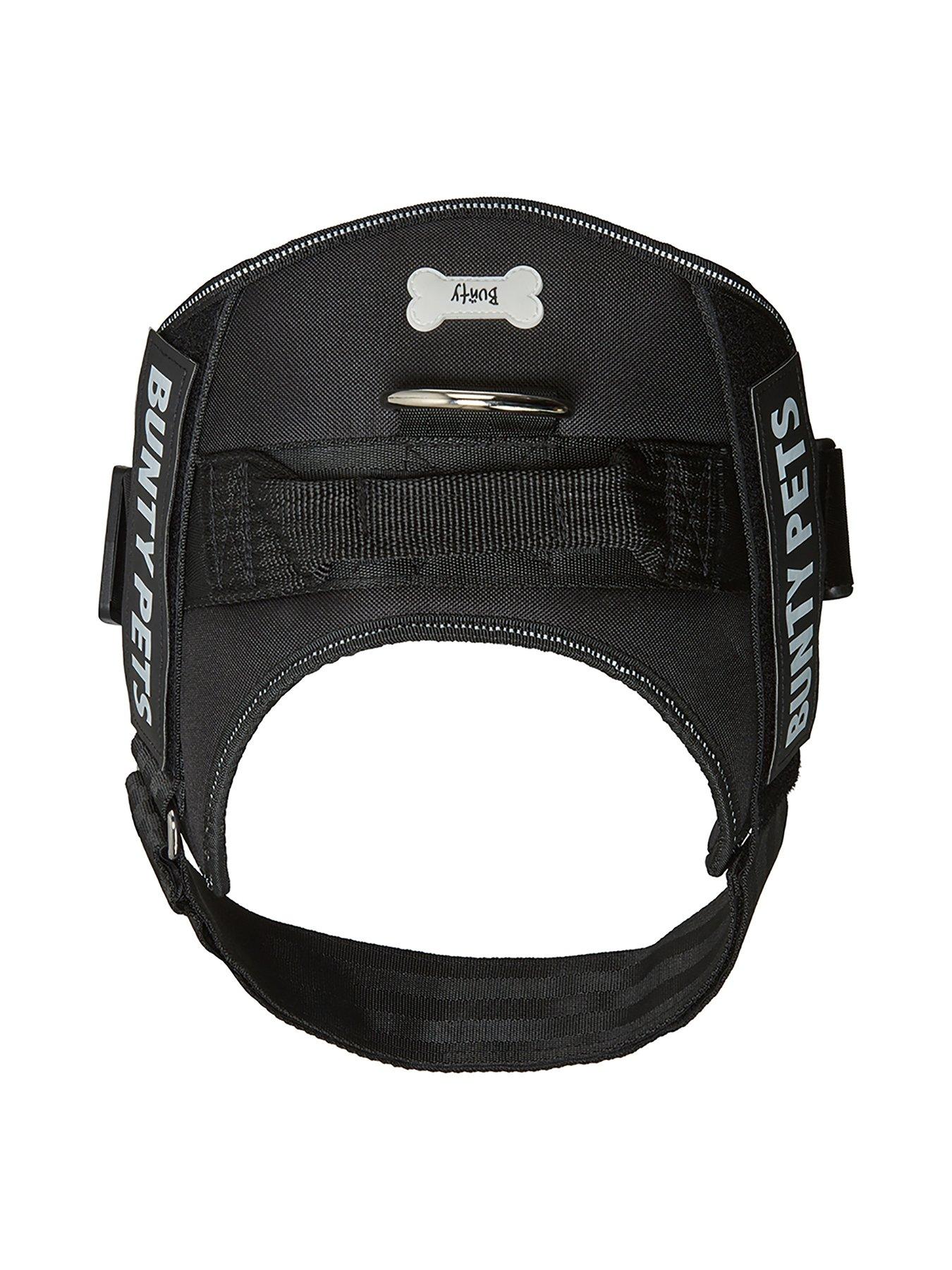 Bunty 2024 pet harness