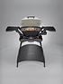  image of weber-q-2000-gas-barbeque-with-stand-titanium