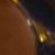 TORTOISESHELL