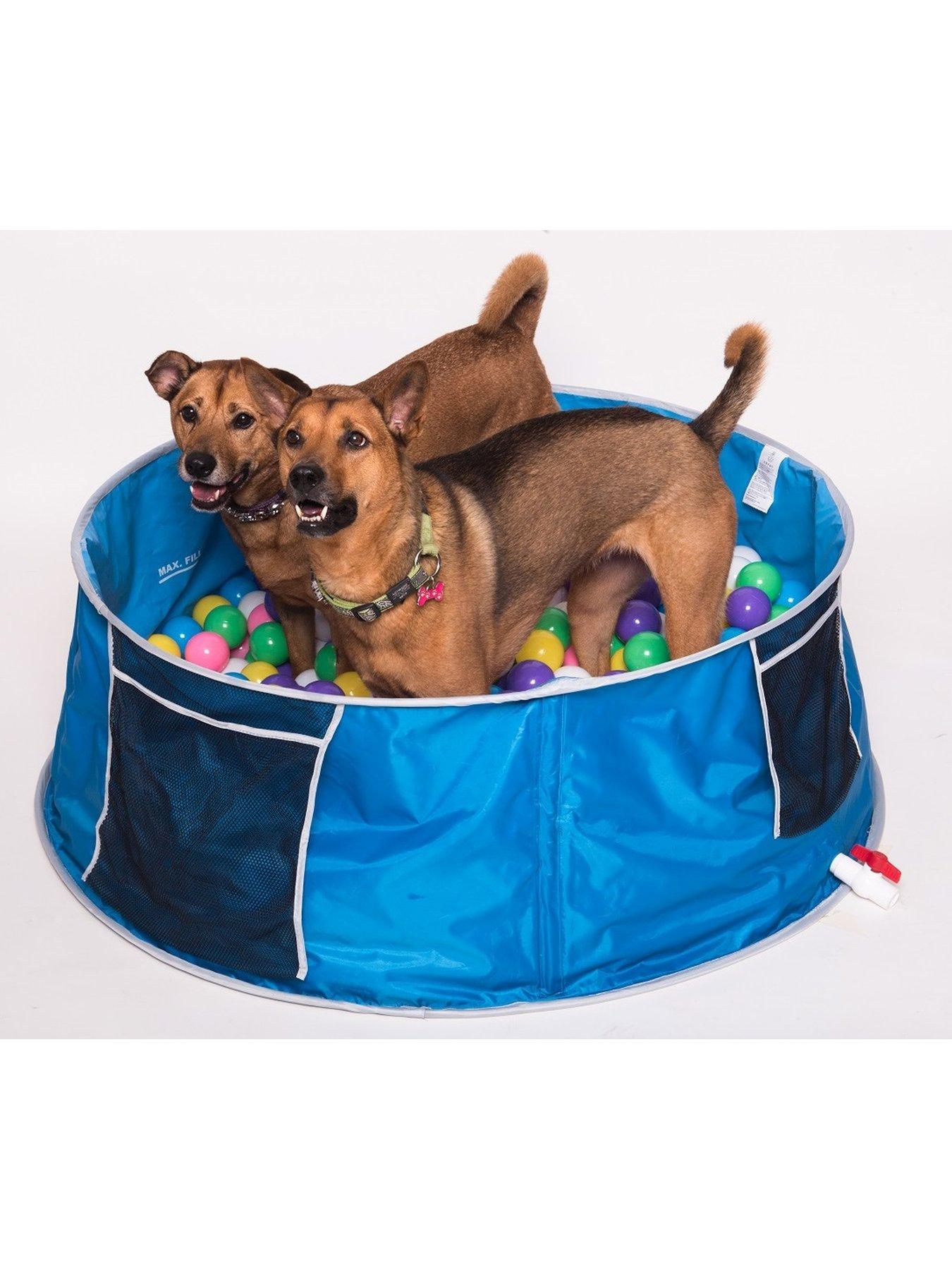 Pets at best sale home dog pool