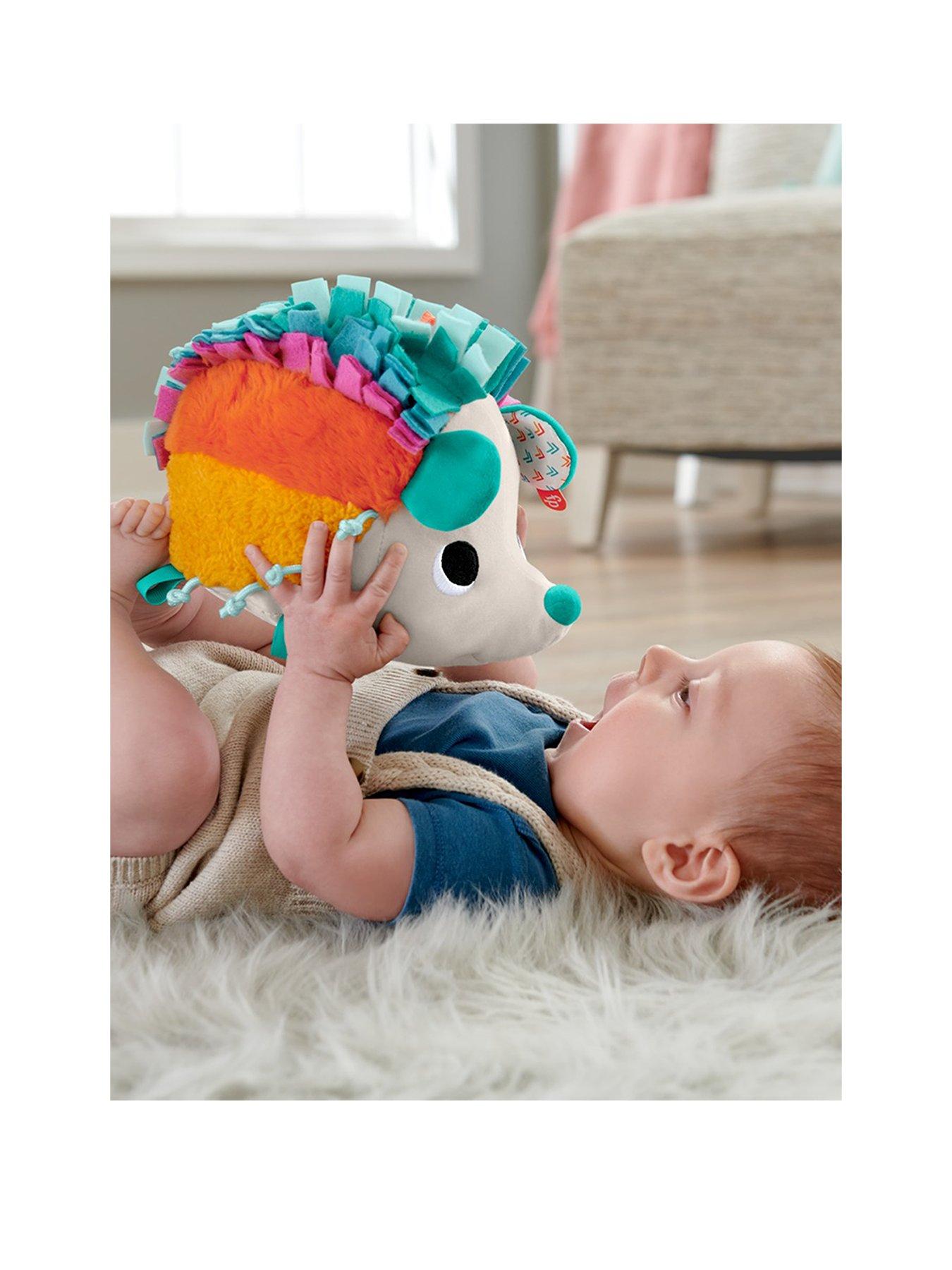 Fisher price hedgehog toy sale