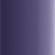 VIOLET FLASH