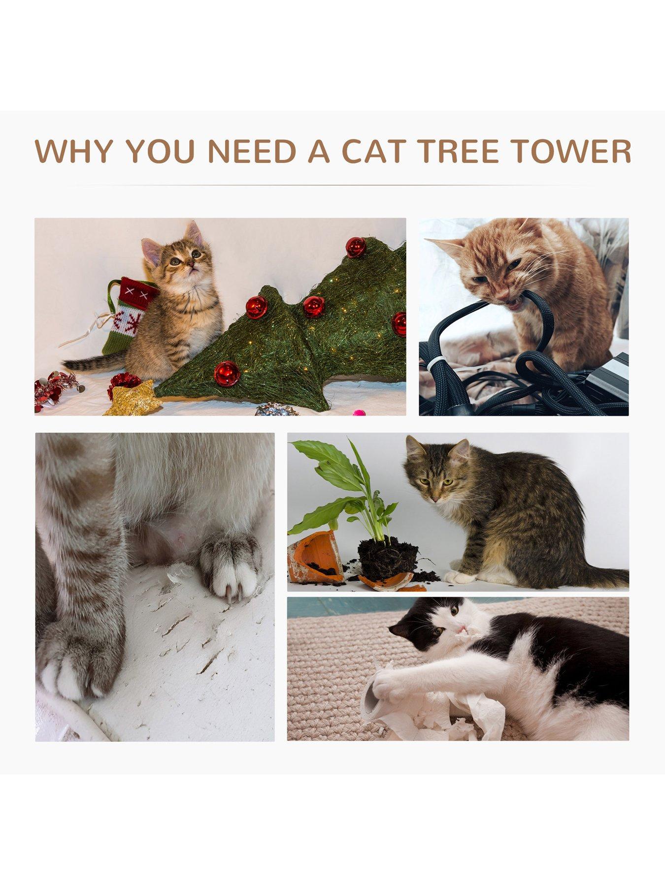  image of pawhut-65-cm-cat-tree-kitty-scratcher-kitten-activity-centre