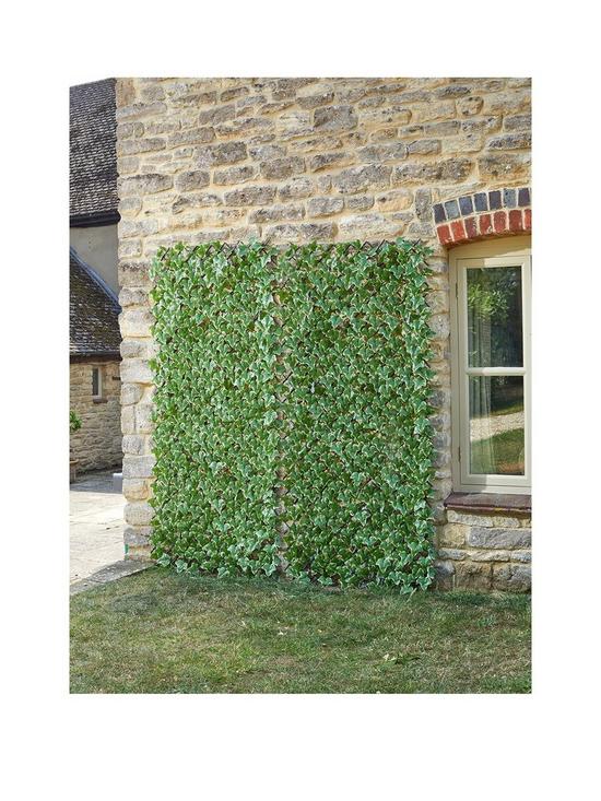 front image of smart-garden-ivy-leaf-trellis-180-x-90-cm