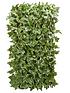  image of smart-garden-ivy-leaf-trellis-180-x-90-cm