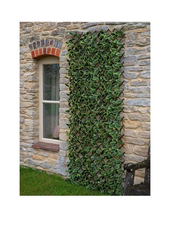 front image of smart-garden-hosta-leaf-trellis-180-x-60-cm