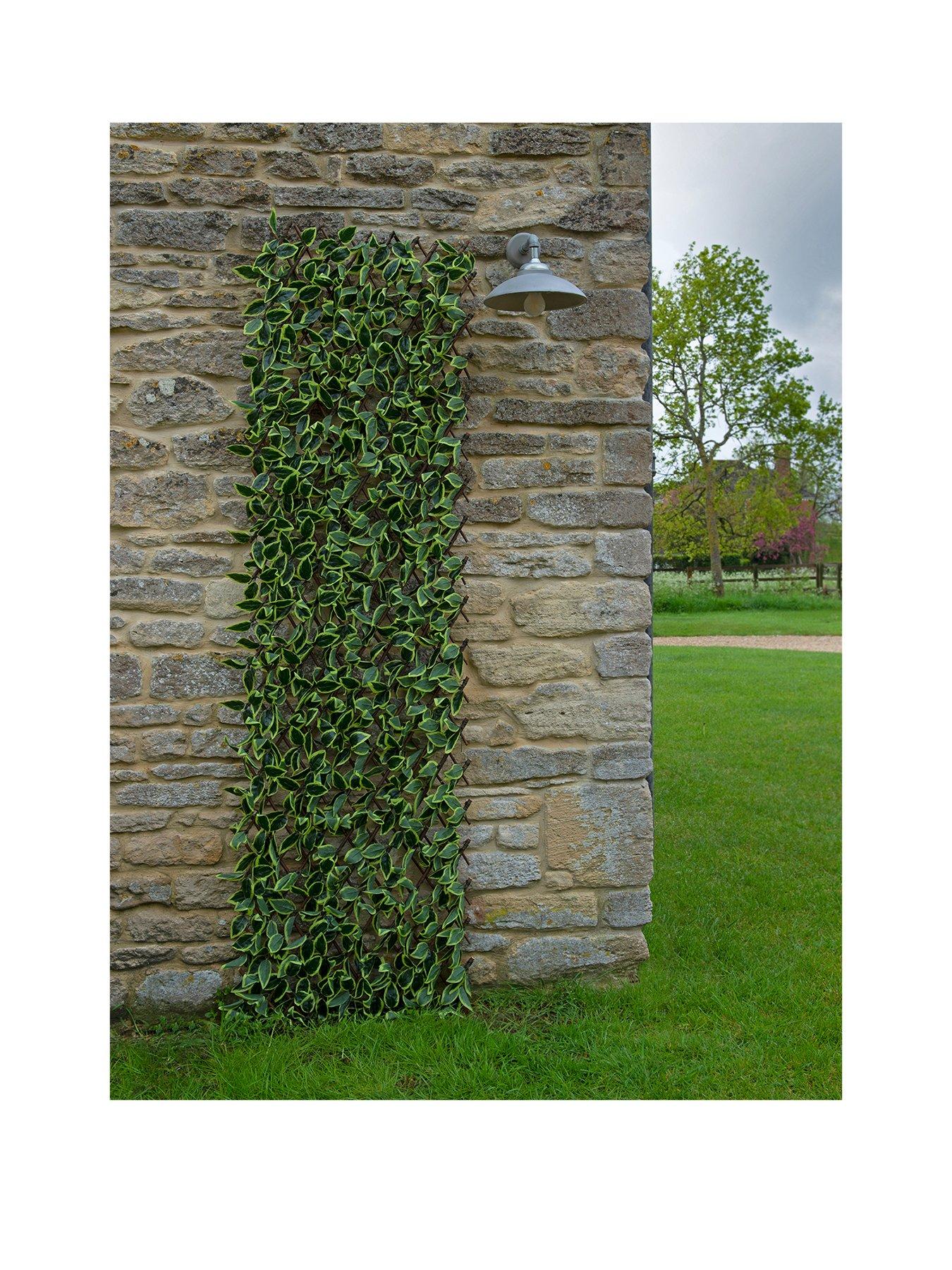 undefined Hosta Leaf Trellis 180 x 90 cm