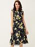  image of phase-eight-phase-8-evie-printed-dress