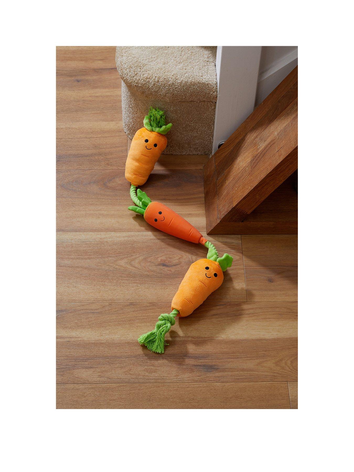 Image 1 of 5 of Zoon Tugga Carrots