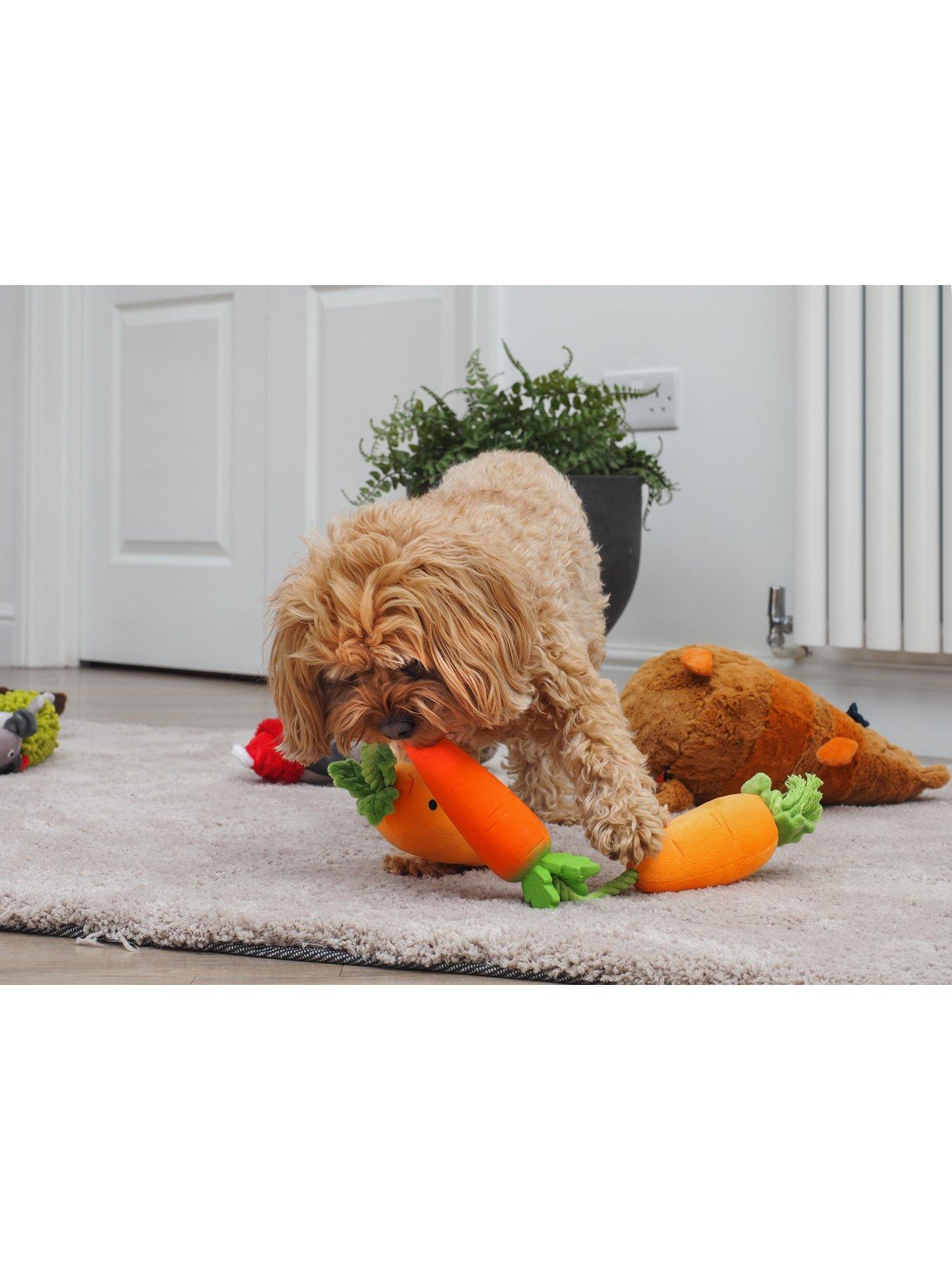  image of zoon-tugga-carrots