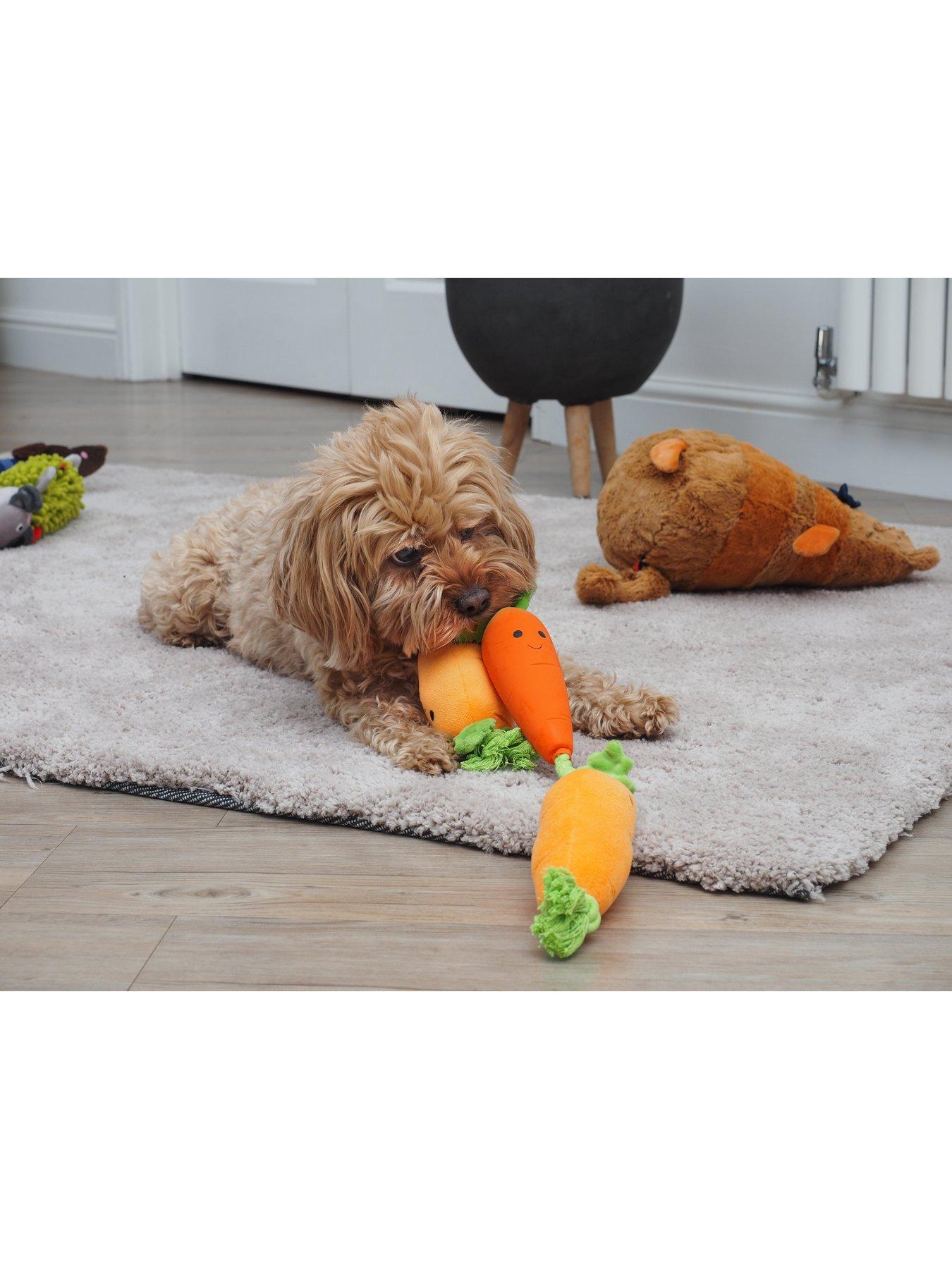  image of zoon-tugga-carrots