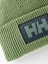  image of helly-hansen-box-beanie-jade-green