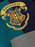  image of harry-potter-boys-harry-potter-cut-and-sew-chest-print-hoodie-navy