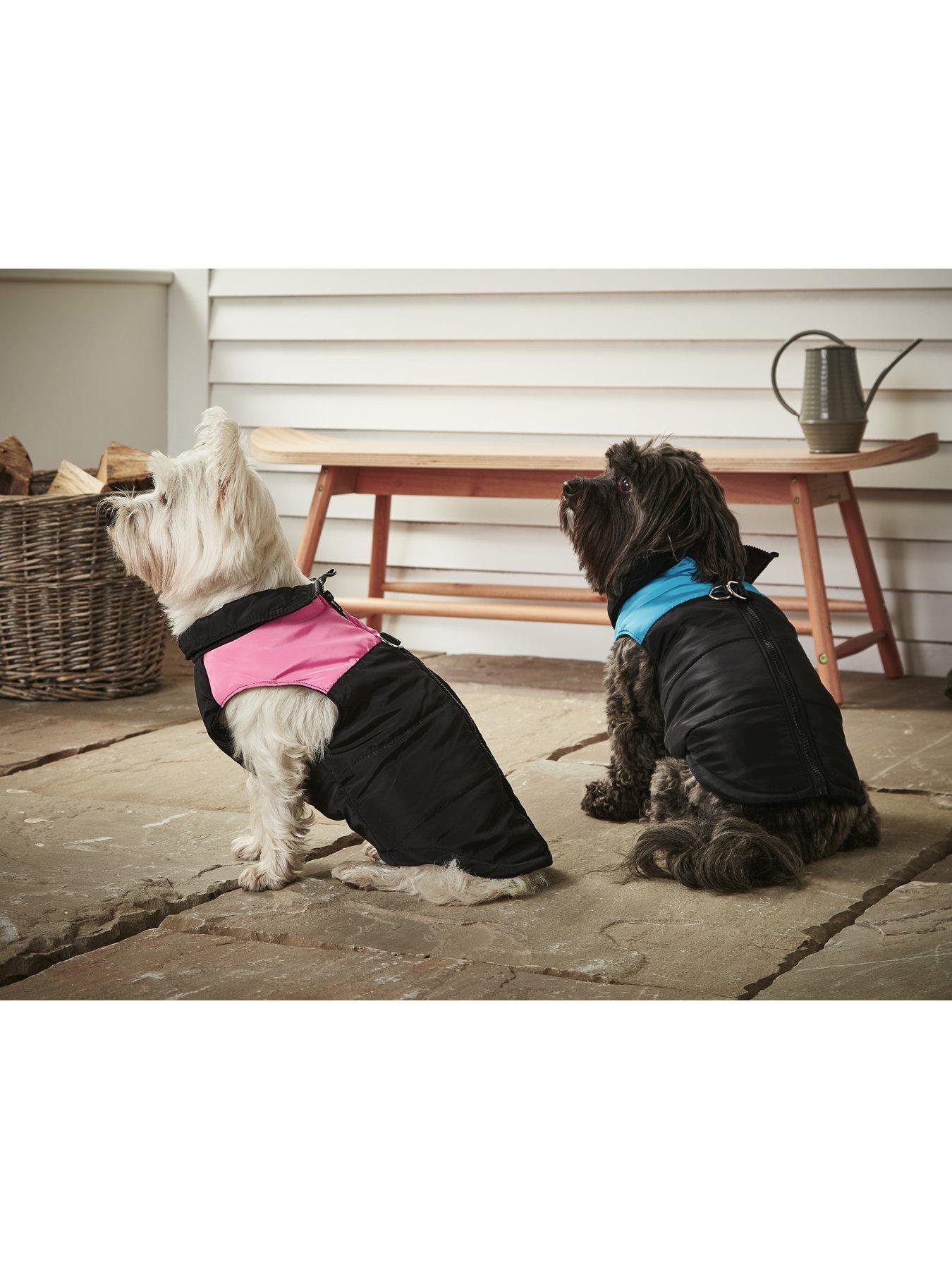 Bunty deals dog coat