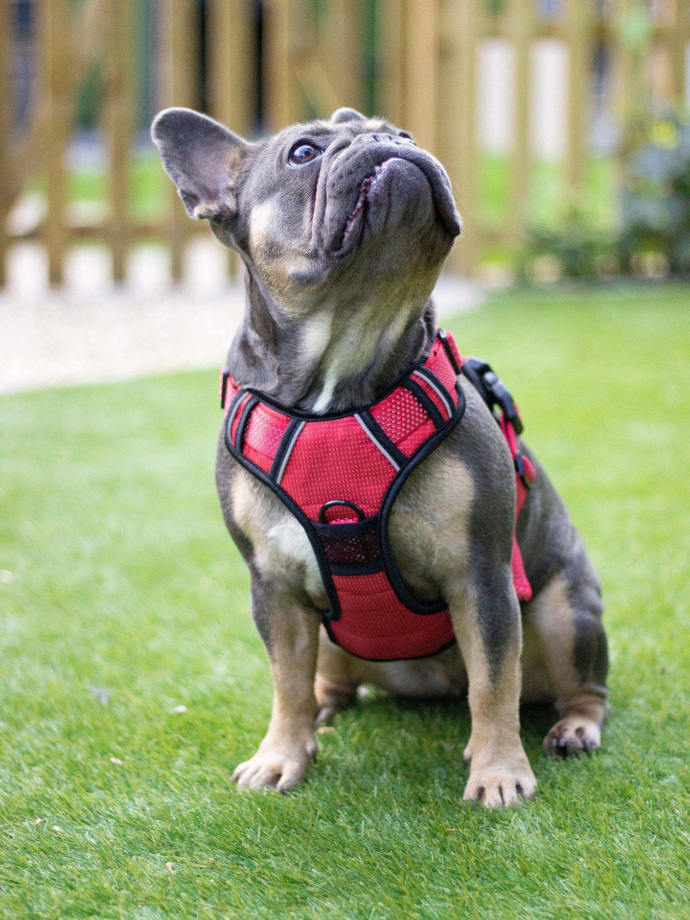 undefined Reflective Dog Harness - Medium (Red)