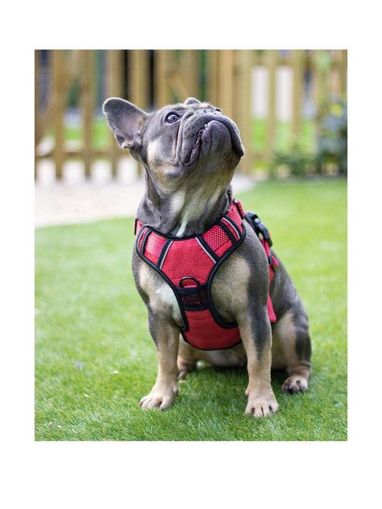 front image of rosewood-reflective-dog-harness--nbsplarge-red