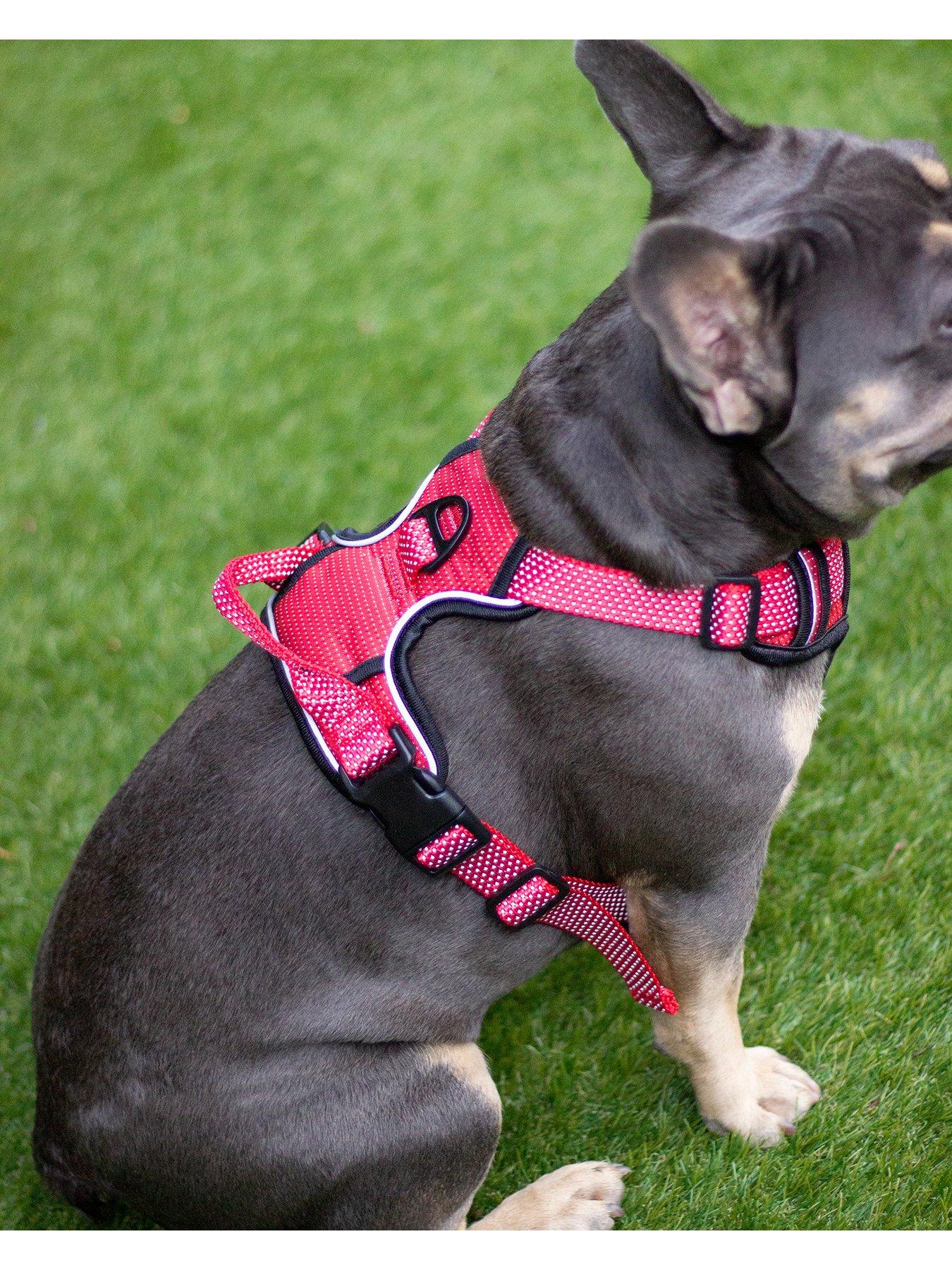Image 3 of 4 of Rosewood Reflective Dog Harness -&nbsp;Large (Red)