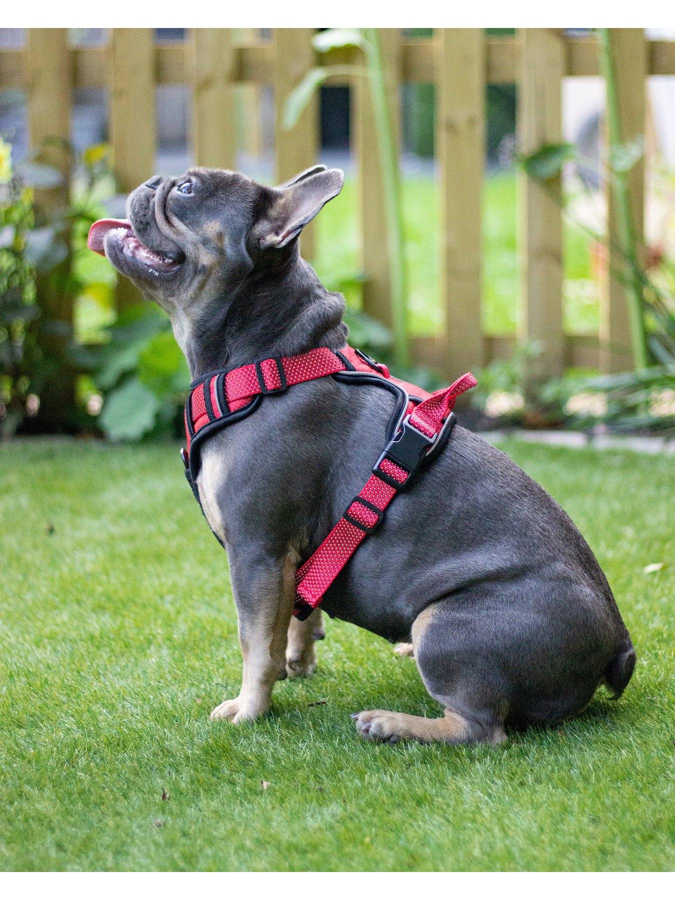 Image 4 of 4 of Rosewood Reflective Dog Harness -&nbsp;Large (Red)