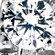 WHITE_GOLD