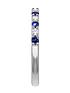  image of created-brilliance-odette-created-brilliance-9ct-white-gold-created-sapphire-and-025ct-lab-grown-diamond-eternity-ring