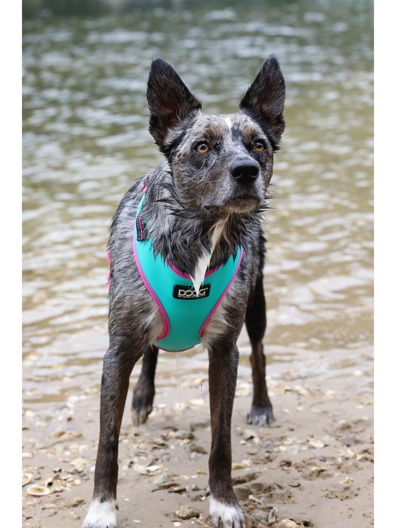 Image 4 of 4 of Doog Neon Harness - Rin Tin Tin - Large