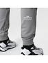  image of the-north-face-mountain-athletics-fleece-pants-grey