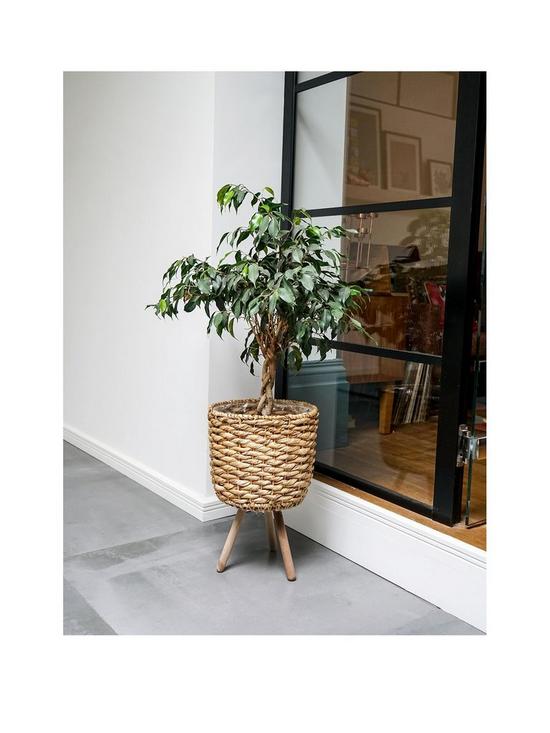 front image of ivyline-water-hyacinth-planter-on-legs