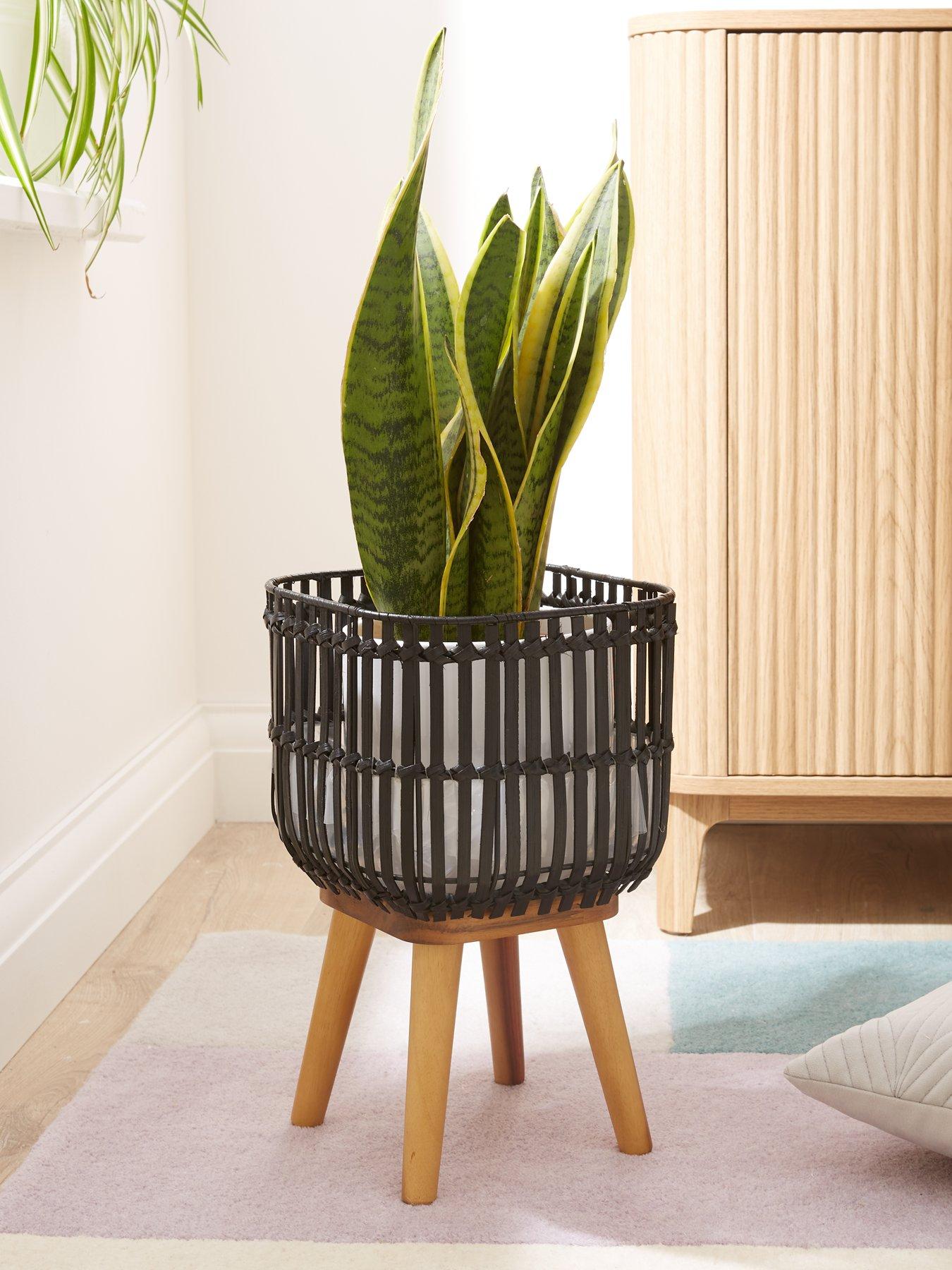  image of the-very-collection-bamboo-standing-planter