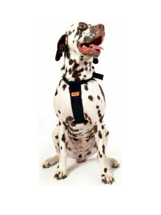 front image of rac-dog-car-harness-medium
