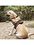 image of rac-advanced-dog-walking-harness-l