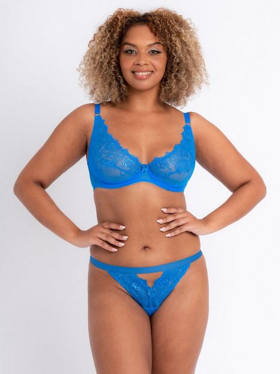 front image of curvy-kate-stand-out-thong-electric-blue