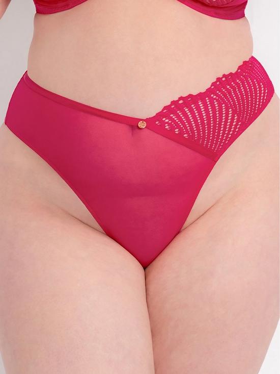 front image of curvy-kate-authority-thong-hot-pink