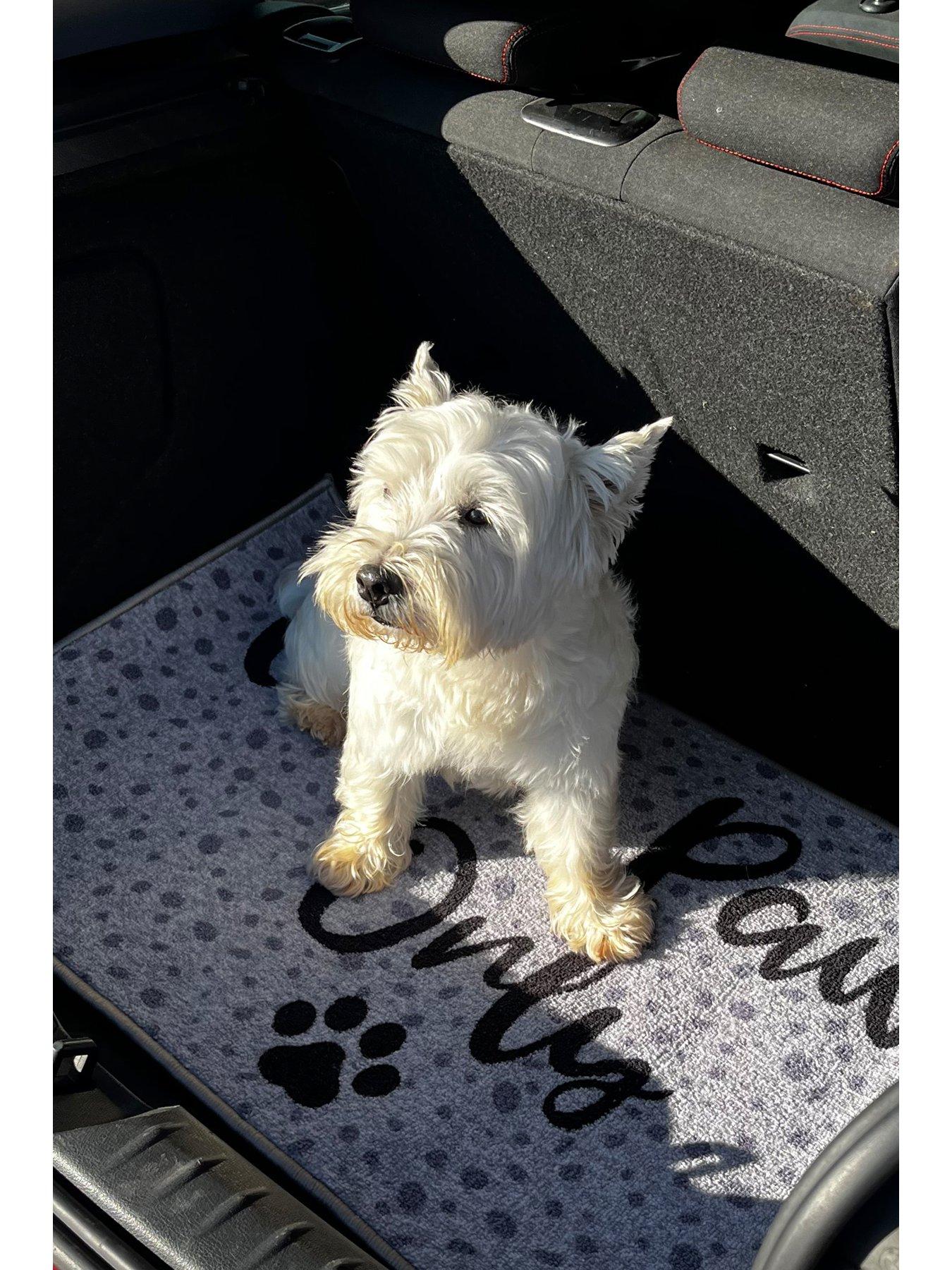 Image 2 of 5 of Clean Paws Only Pet Boot Mat - Grey