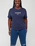  image of tommy-jeans-curve-essential-logo-t-shirt-ndash-blue