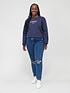  image of tommy-jeans-curve-relaxed-essential-crew-neck-sweater-blue