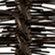 BLACK_BROWN