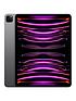  image of apple-ipad-pro-6th-gen-2022-256gb-wi-fi-129-inch-space-grey