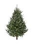  image of 6ft-fresh-cut-fraser-fir-real-christmas-tree