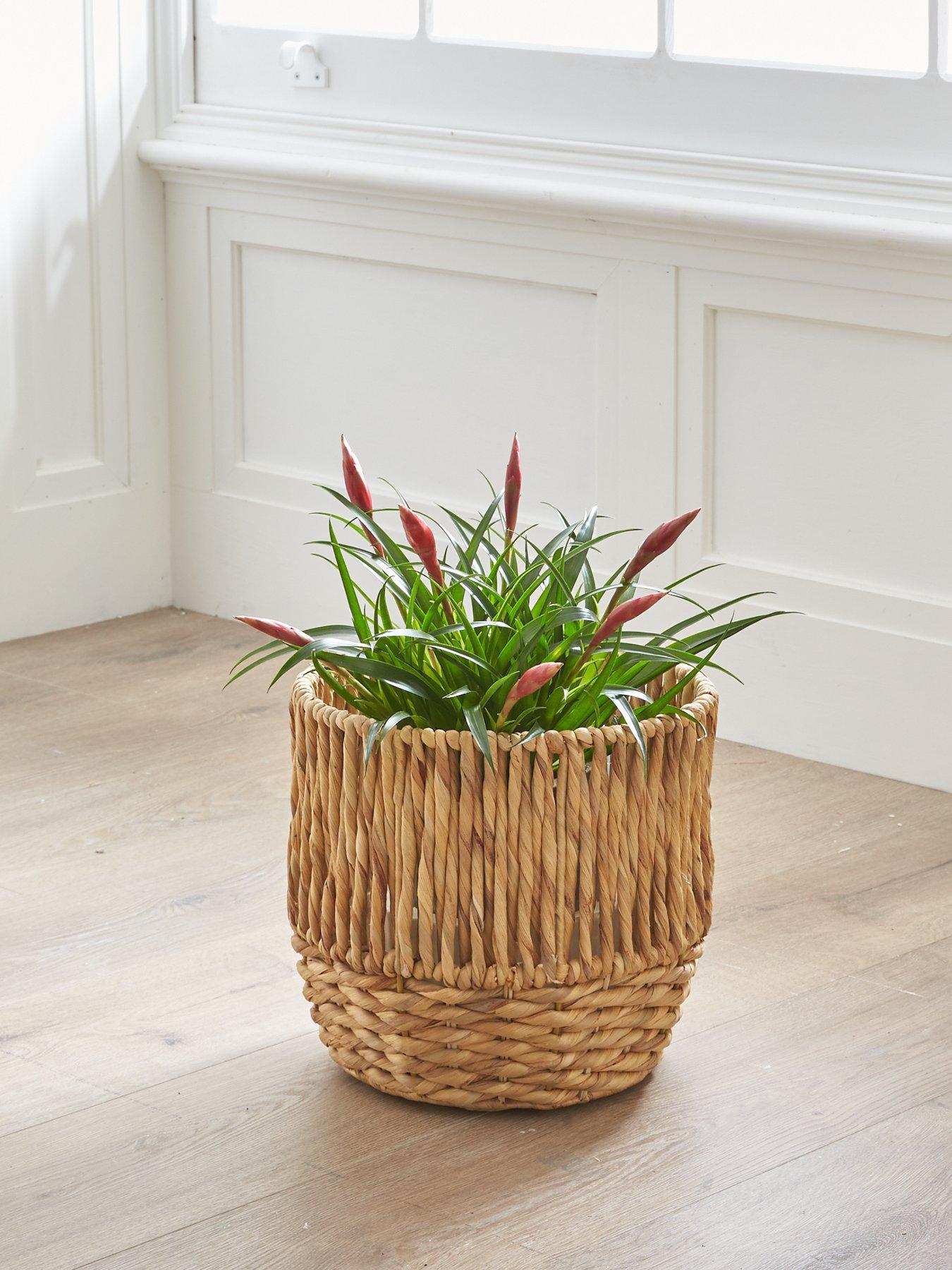 Very Home Water Hyacinth Planter