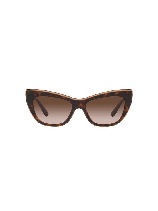 back image of dolce-gabbana-dolce-and-gabbana-cat-eye-sunglasses-havanatransparent-brown