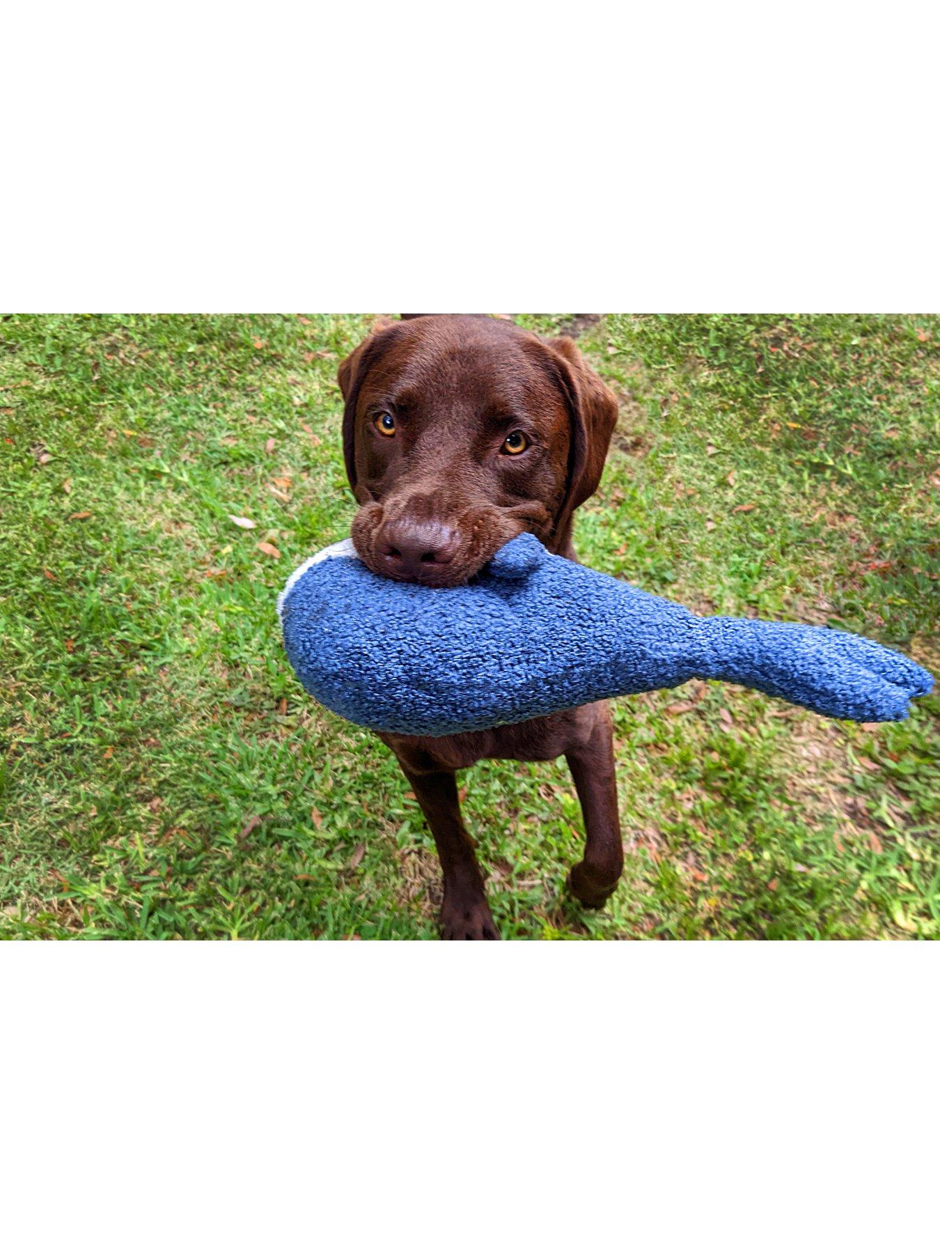  image of rosewood-tufflove-whale-medium-dog-toy
