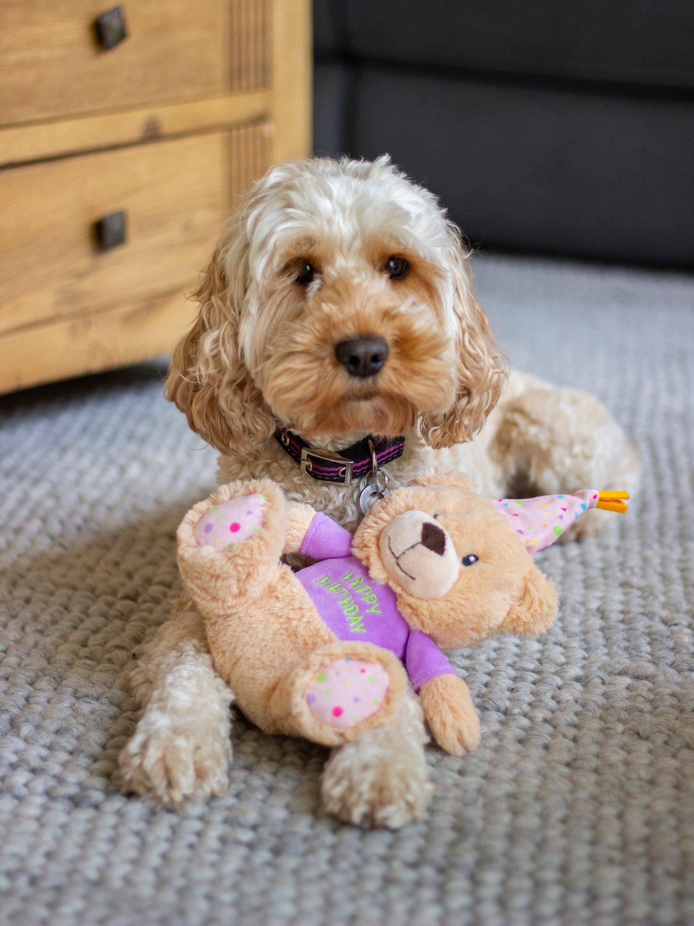 undefined Birthday Bear Plush Toy For Dogs