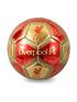  image of liverpool-fc-liverpool-size-5-metallic-signature-football