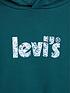  image of levis-plus-plus-graphic-standard-hoodie-deep-sea-moss