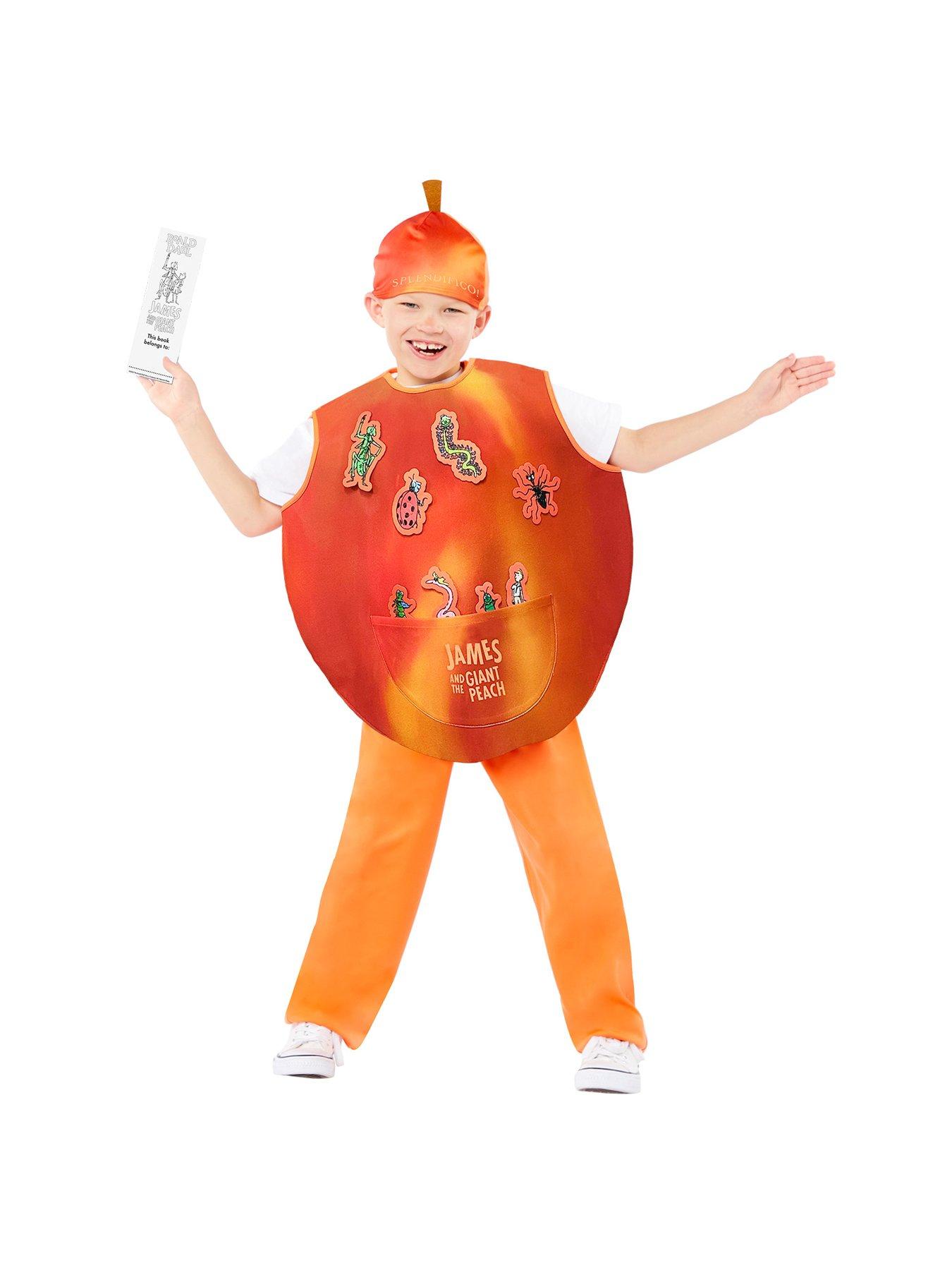 Roald Dahl James And The Giant Peach Costume | littlewoods.com