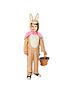  image of peter-rabbit-flopsy-classic-costume