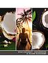  image of yankee-candle-signature-collection-medium-jar-candle-ndash-black-coconut